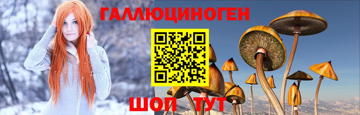 Кириши  хочу   Вход с VPN  Псилоцибиновые грибы Magic Shrooms  Псилоцибиновые грибы Cubensis 